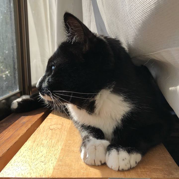 90432be9 0403 49b1 8db2 652e288380f1 1544250495348