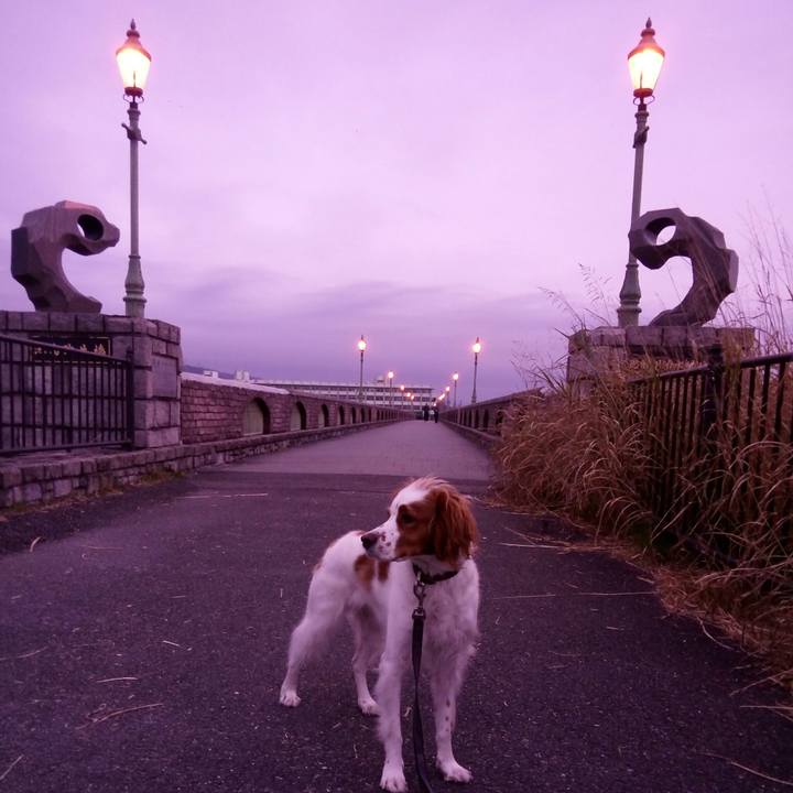 904344d5 927e 4276 9730 b9301d03a124 1514689265198