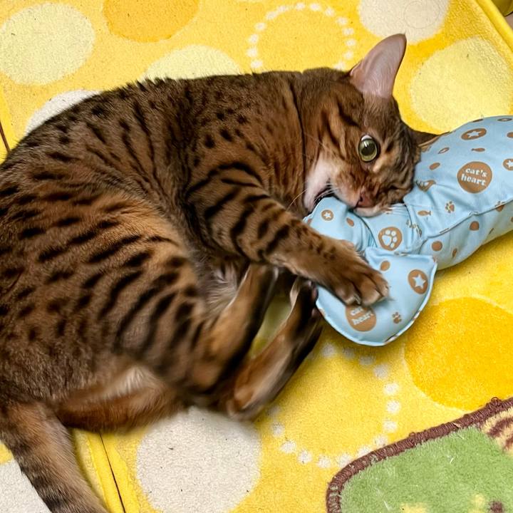 904390e4 655a 4b81 9c07 b4c6a2416942 1653701250646