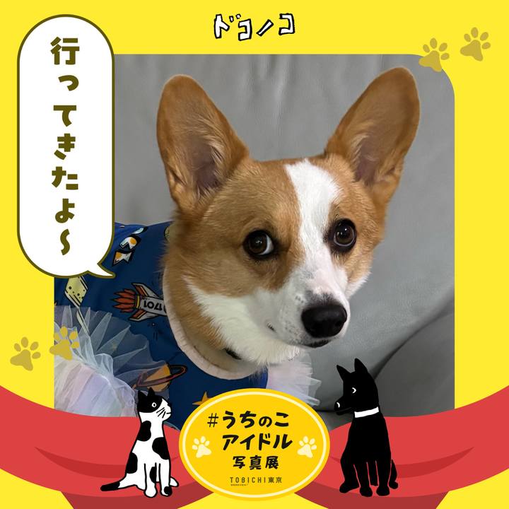 904393ec 258e 4852 a89c 146e143311f7 1761776708909