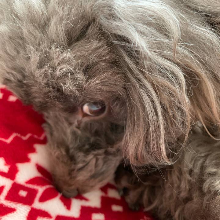 9043a59c 5f3c 455a 85a7 5ce4a283bf1b 1575418680028