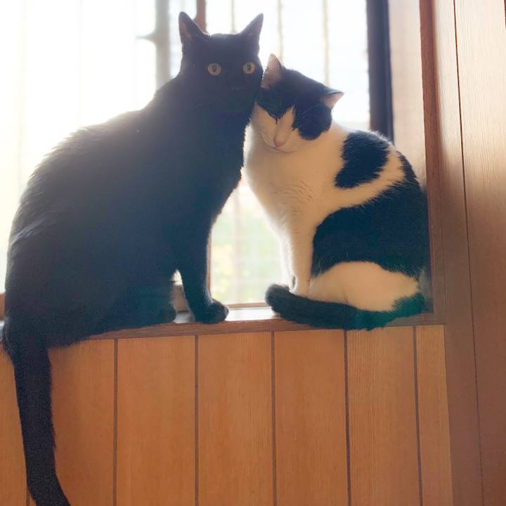 9043b186 318a 40d2 86f3 2ccca0d84274 1579746034631