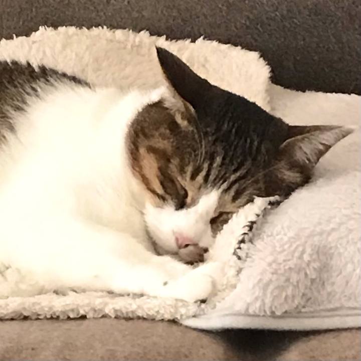 9043c36b 6921 4865 967f 0bc2054b9d59 1615533217680