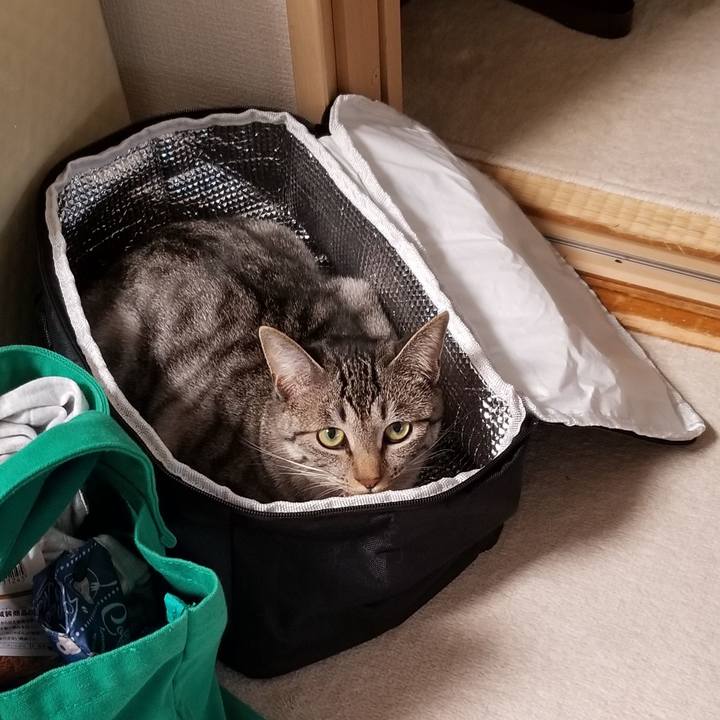 9043cd94 78c9 4a2a a4ca faa524ed514f 1686667521094