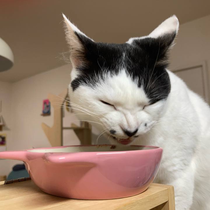 9043d2b4 0870 4f48 a7f7 4c63b7d27fd7 1768164680742