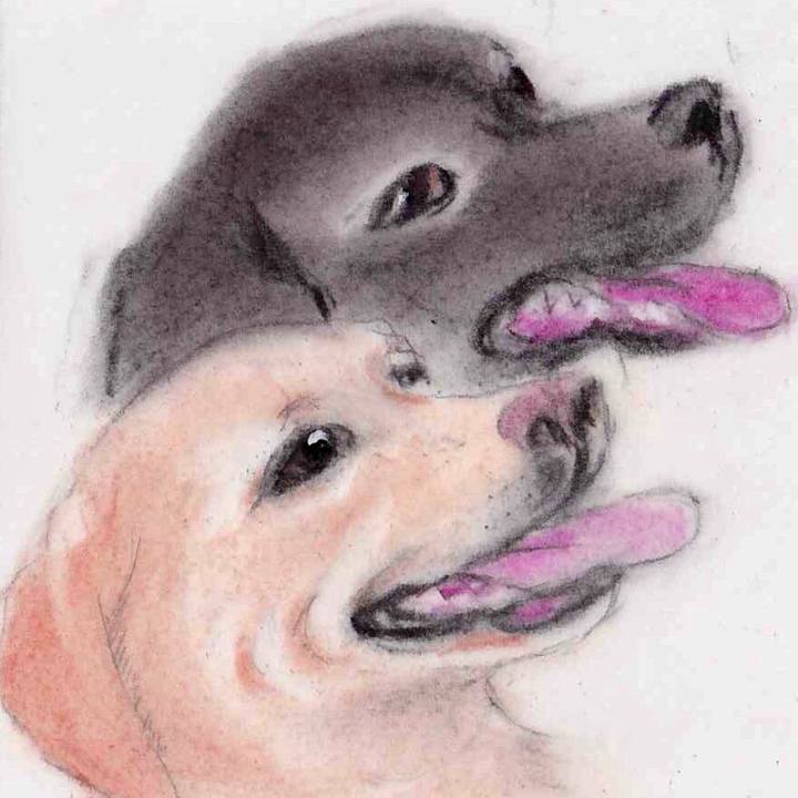 90442476 c1c7 428e a34d 41747d968c48 1641607790233