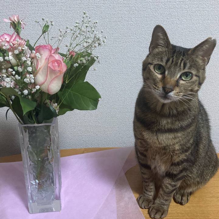 90442fab ba03 479c 8861 d528ca0133f8 1677214184719