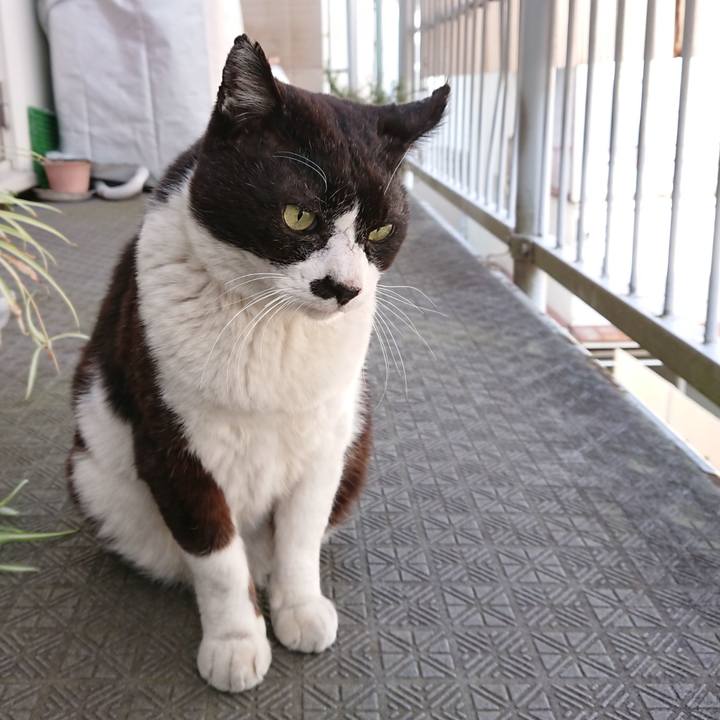 9044326f 3101 48d9 9246 d2e805e0b964 1614389401180