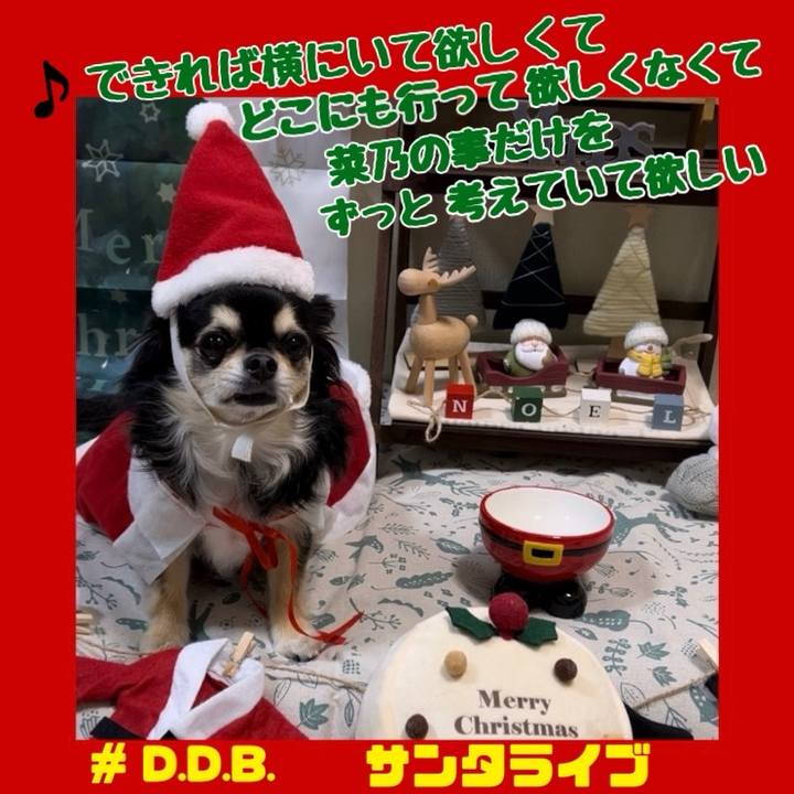 9044fefa bfea 4a37 9830 a77bfb82f706 1703369569776