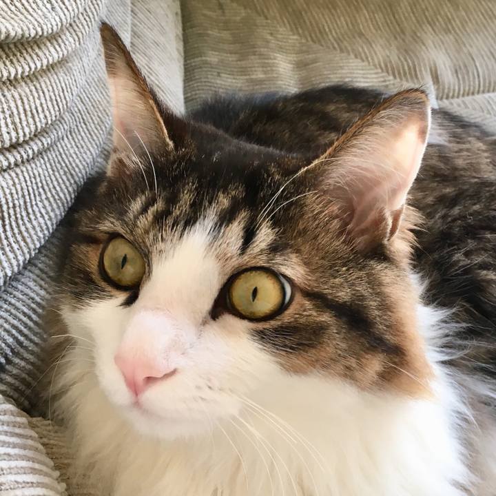 90451ff3 c305 4803 804b ea7ab2e78f8b 1522463961382