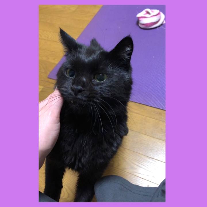 9045c102 dfa4 4a2d b536 e28b260a279c 1607981252064