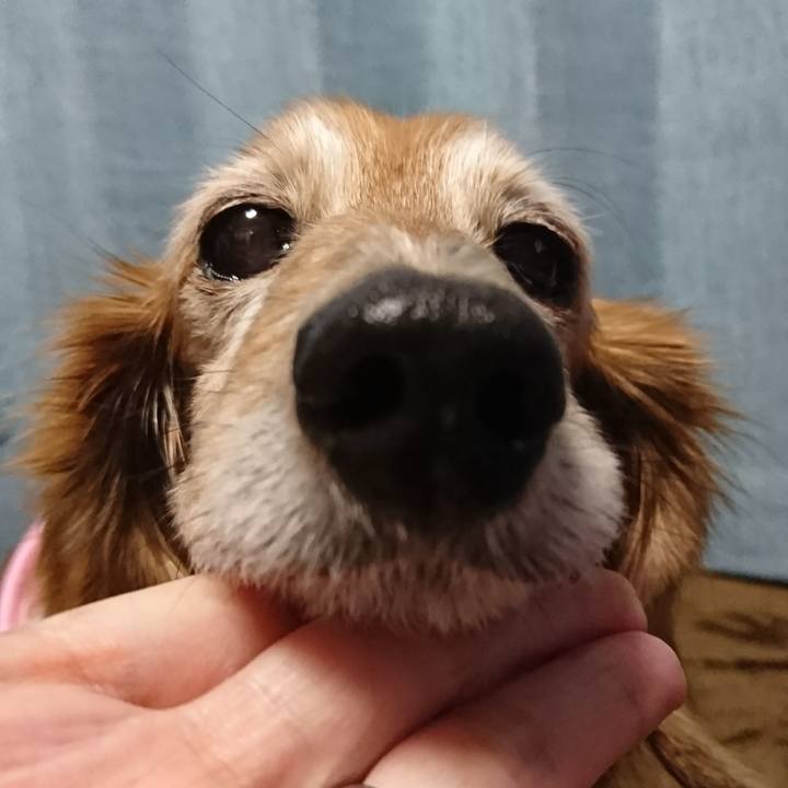 9045ccdc 73f4 41bc b8fb 2042d2fa9a3b 1517655303229