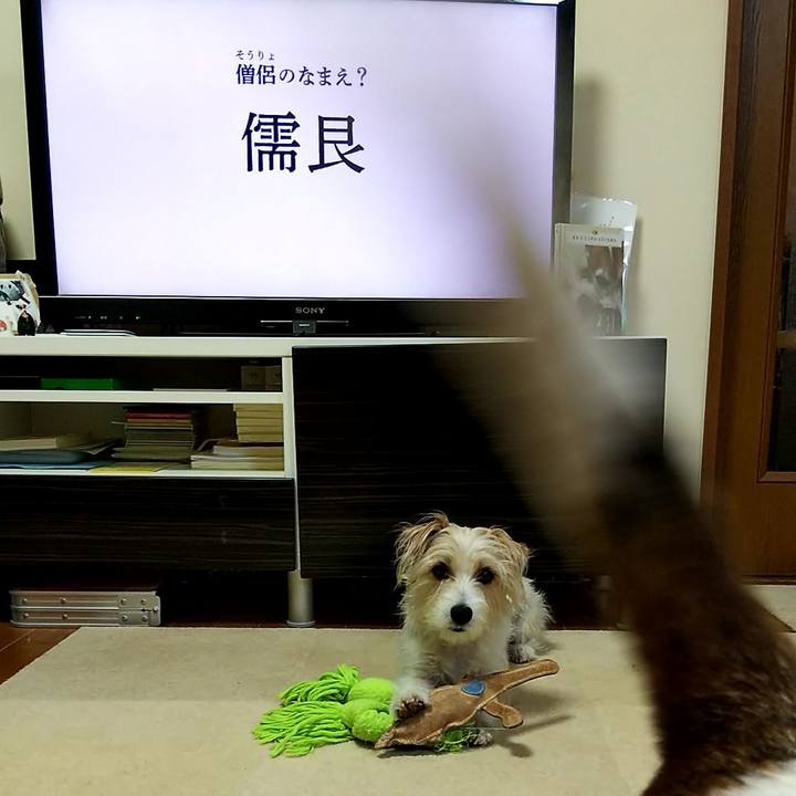 9045ce01 77ab 44ff b50b 07f1f620a092 1559599961990