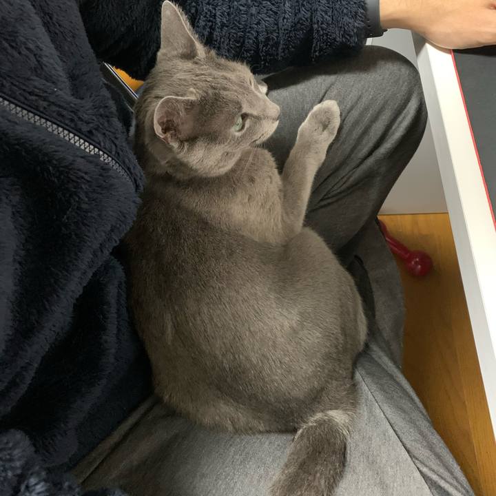 9045f6c2 2582 4dc1 becd 689c875958ab 1608507053857