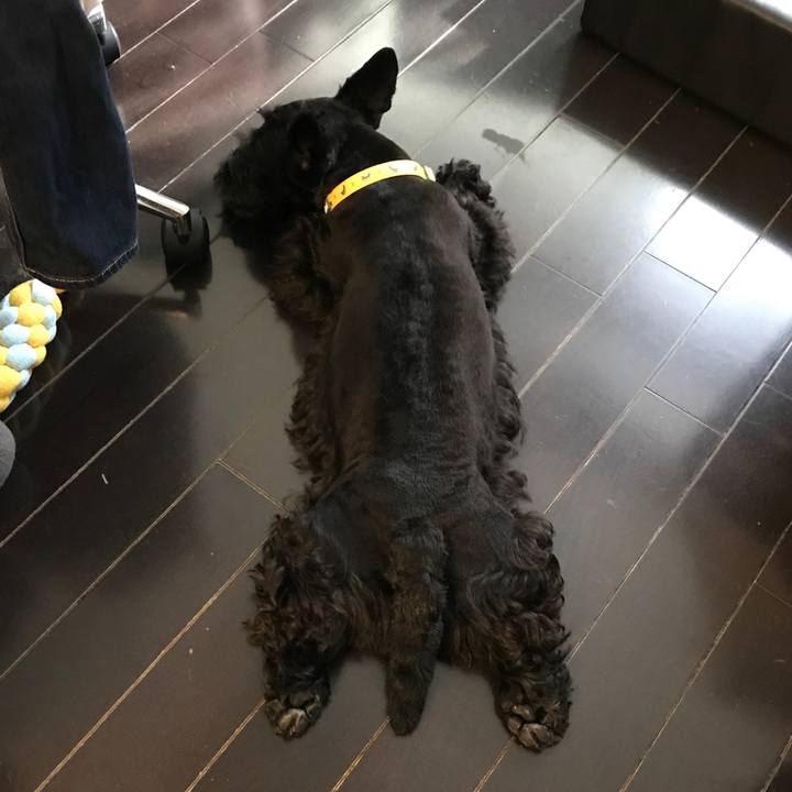 90460281 2de2 429b b8e3 583593207c05 1560841291955