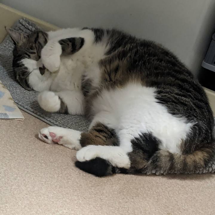 90460eef 2320 439a 956b a30ef8f9eeab 1716726071900