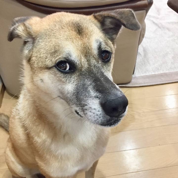 90461ddb edbc 4e7b 9195 9e7c0423b9ab 1534936743413