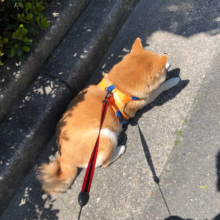 90464292 ec11 47bc 84a6 57b85f81f83a 1587800191770