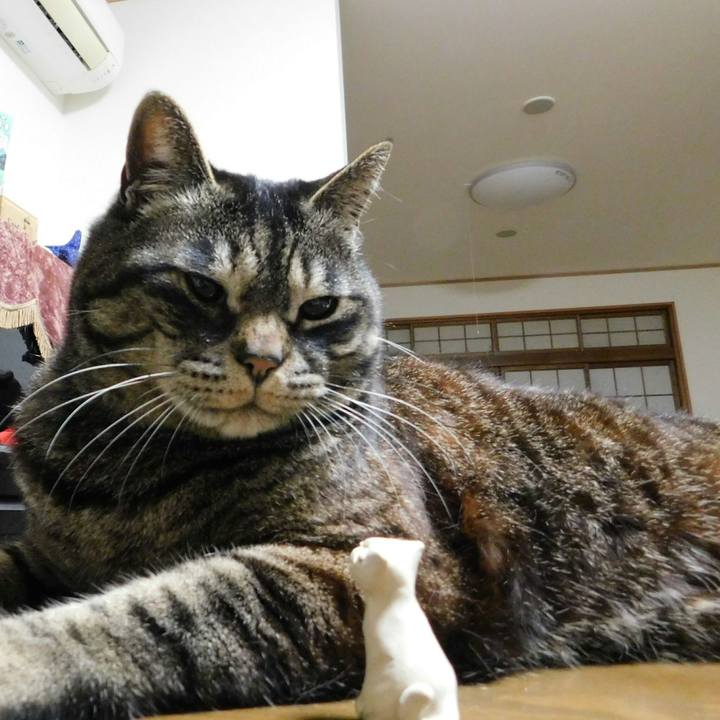 90464bb9 37f0 486b 92ed fb4dcf239621 1556954590904