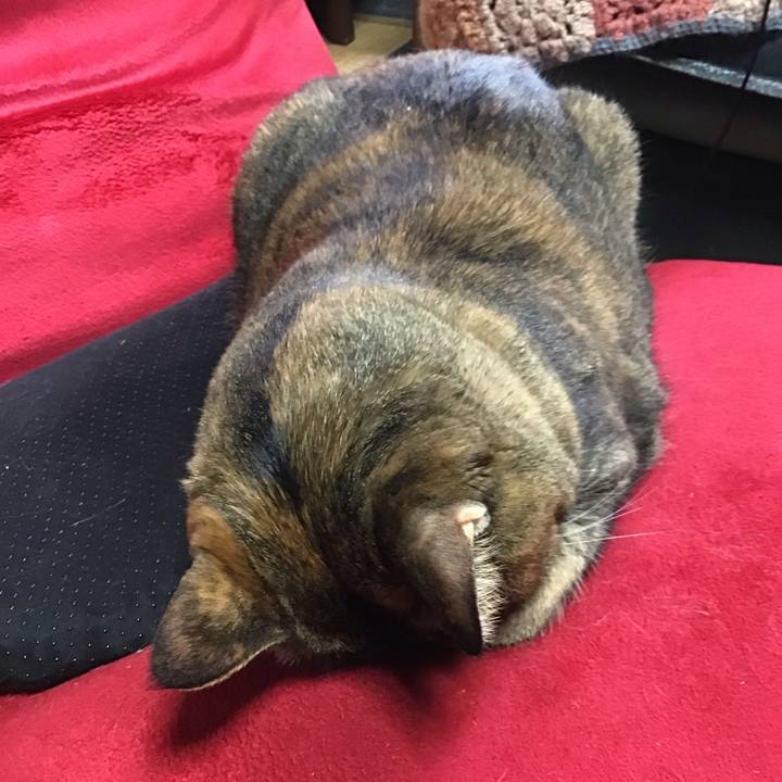 90468933 8279 4ebc 9e73 ab4b46b35db7 1756951144826