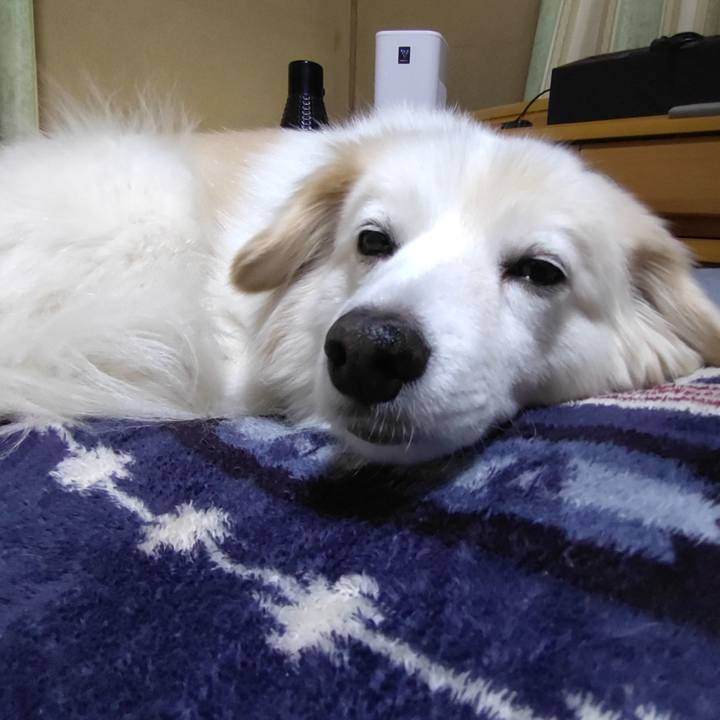 904697cb 7b80 41fa 9a98 daf0b4978938 1646600472983