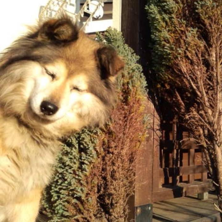 90469b2e ac2d 4ac1 a847 6bac8a4d07eb 1585280006126