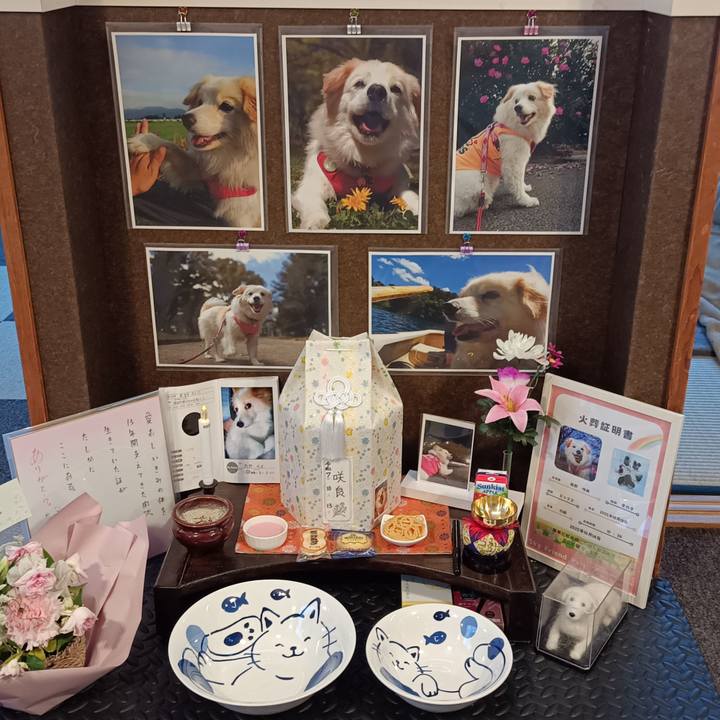 9046f2b3 b78e 4d8e aa61 1763baec1470 1761877173208