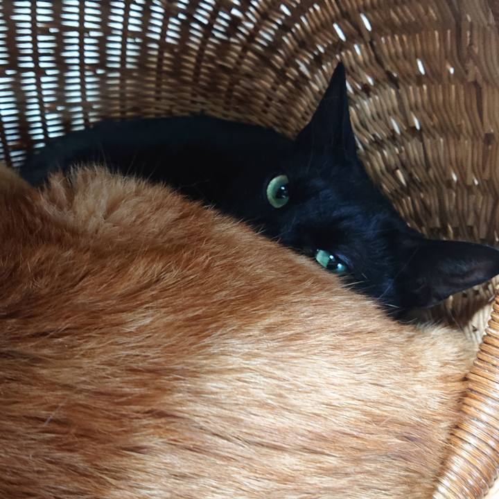 9046f92b 2f8b 427f 86db 07bff2b38a15 1684886930727