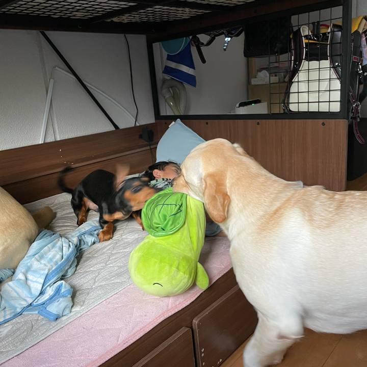 90470078 8227 43be 836a 33146522e335 1659587379036