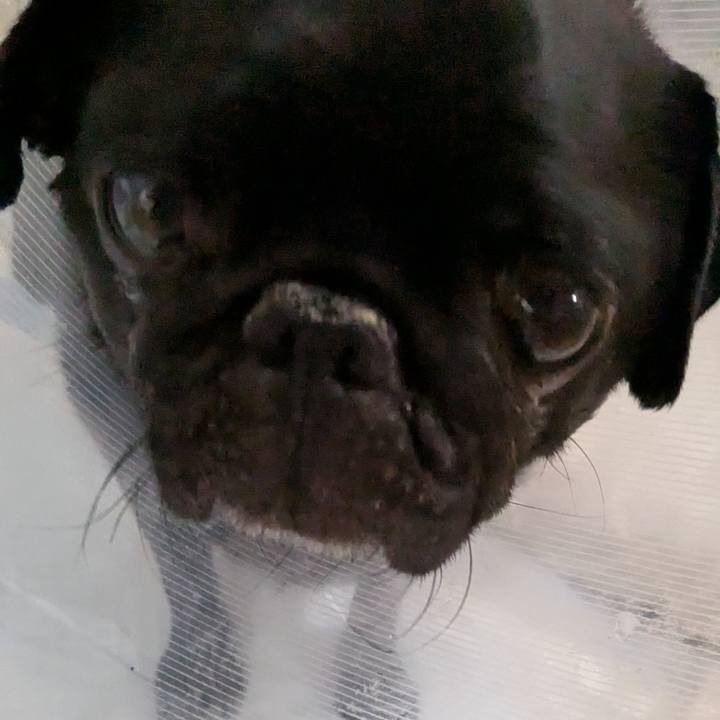 904752fc 0065 4a55 9434 c154f63bc67f 1753277488023