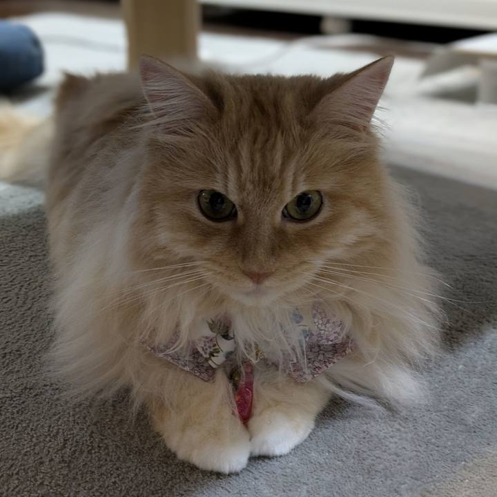 904784a4 c46d 4db1 8dde d3cb0acd6936 1749983570367