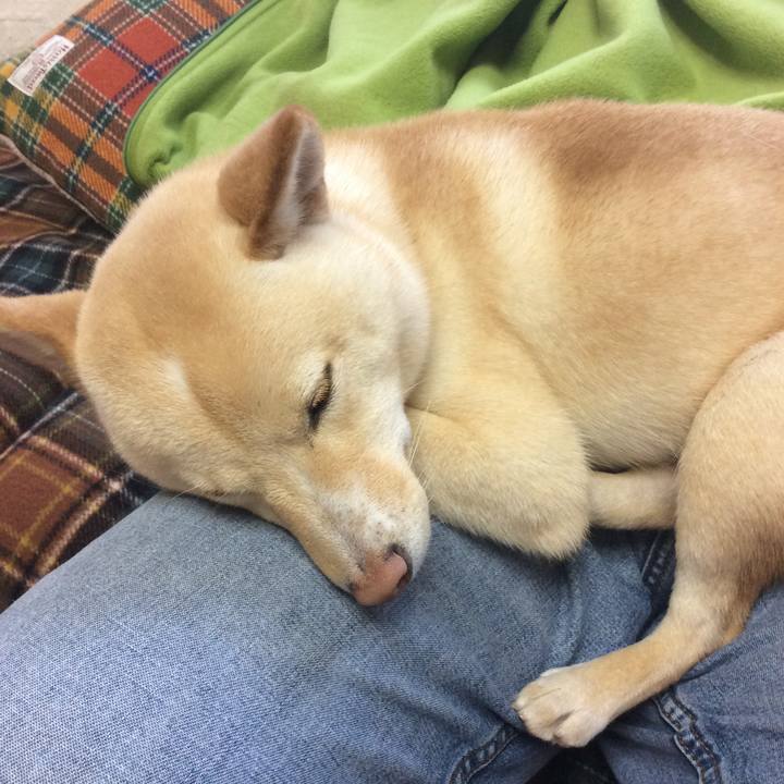 9047853b 75cb 4774 88e6 f0426e377d1e 1512883162726