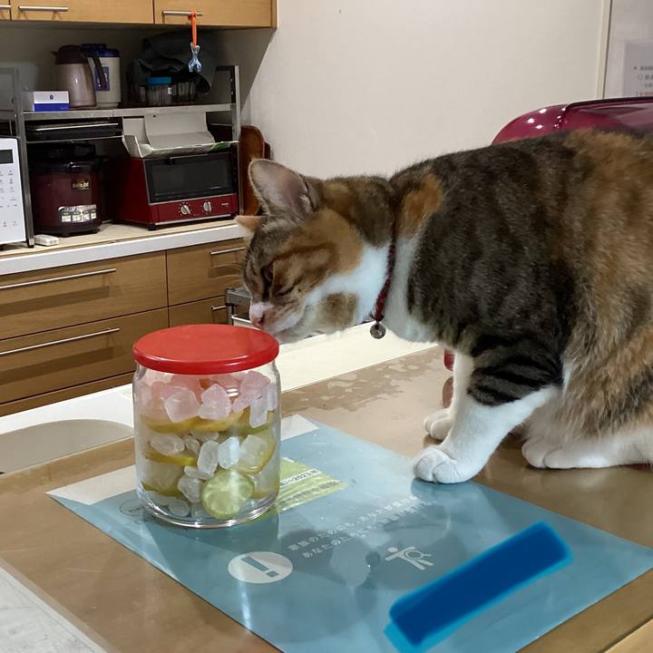 9047919f 71bc 4f3c a414 6f3ce903e62d 1655333473736