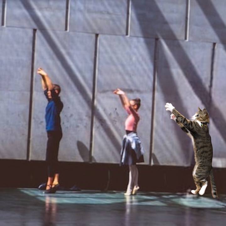 904798cc 63f7 447e 95ca 1f4750517c24 1686220670943