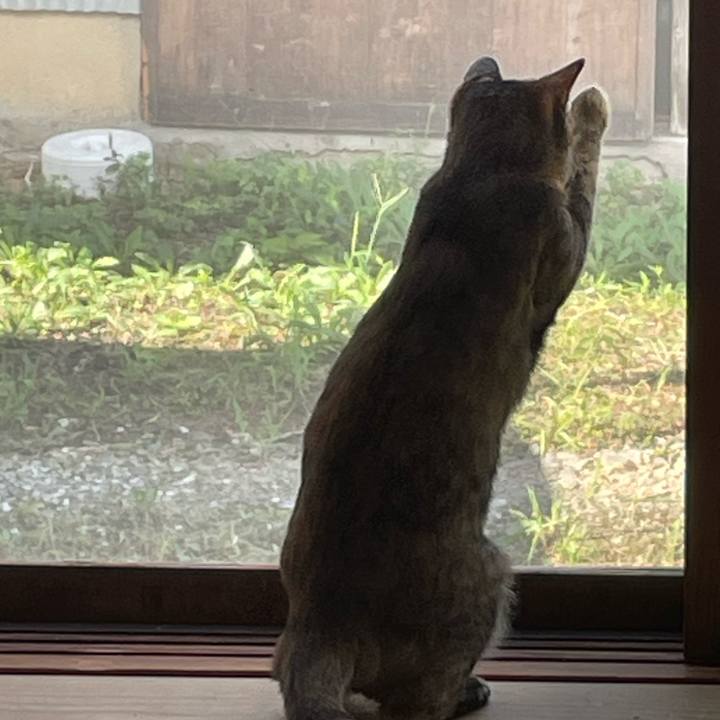 9047e5a7 65f3 4040 961f d8d6d28a4ef7 1758330932232