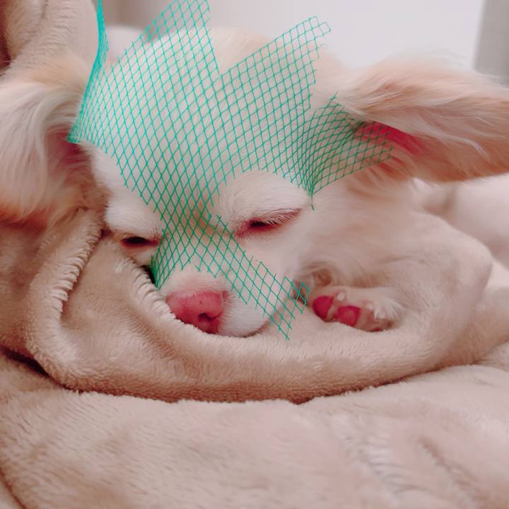 9047fb8d e927 42b8 990f c379fa84af61 1692602378212