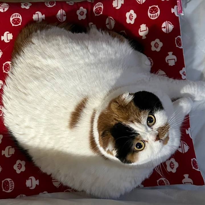 904820a3 b3ac 4eb1 a099 452d926de49e 1673143251459