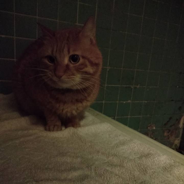 90484155 0c23 452f 8995 817d67e4af24 1706615371816