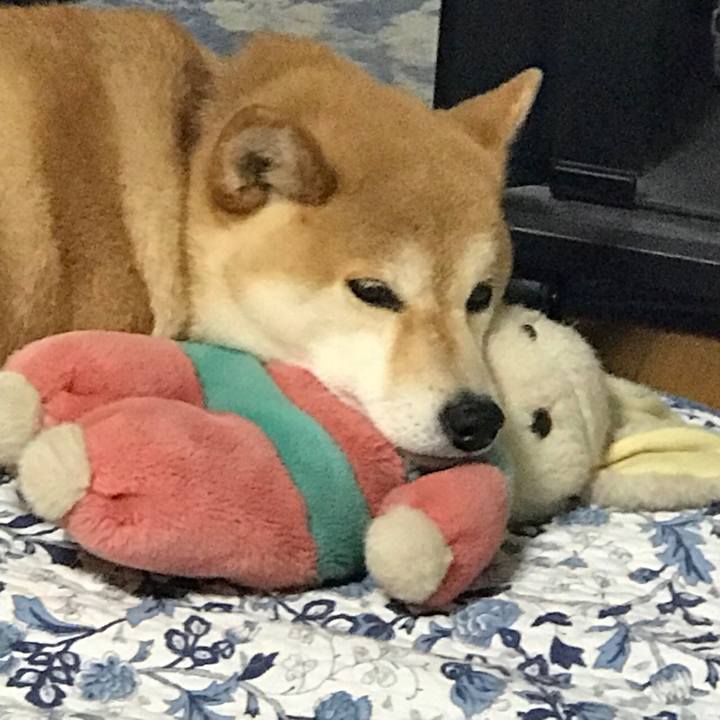 90489351 973c 4c84 883f f23159e47150 1527166454592