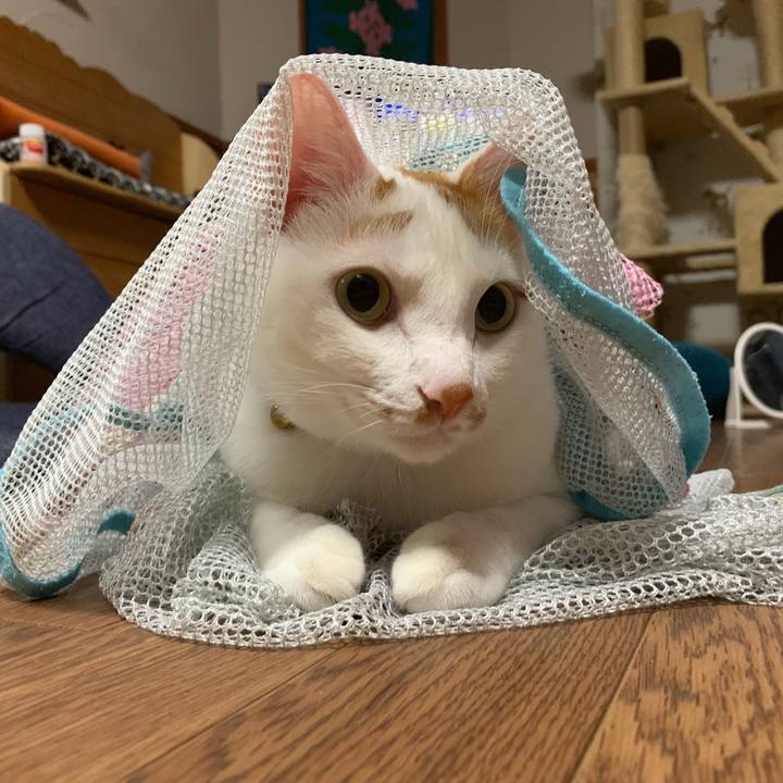 9048a3fd 3dba 4538 b201 c6b4b92c7677 1564061678212