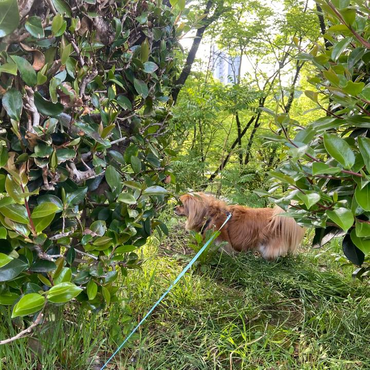 9048c670 97fd 4122 b690 2bfd54226223 1589322570213