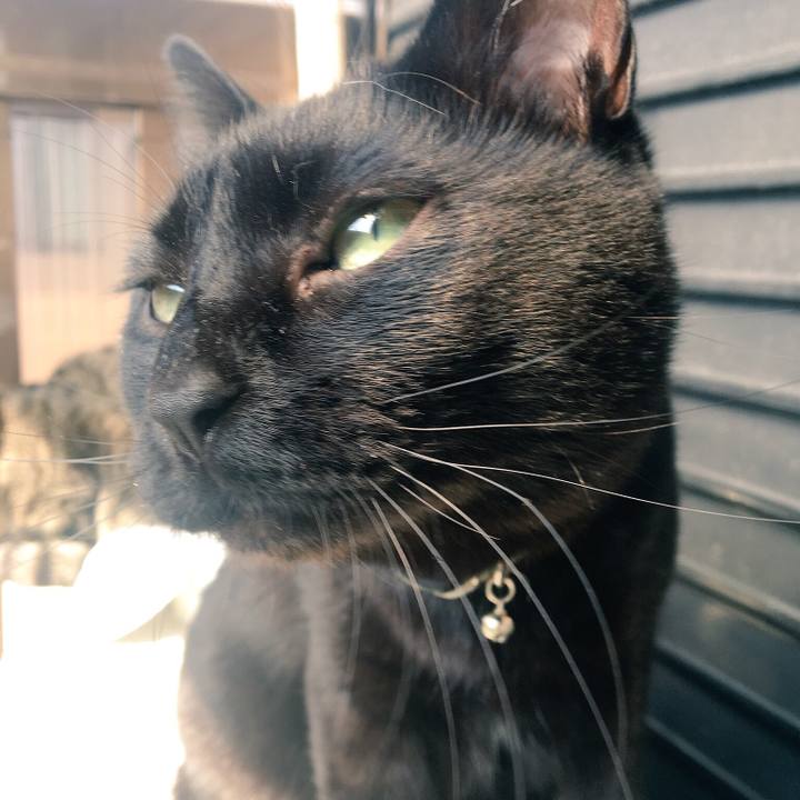 9048e1f7 07bc 472d 8f2b cd90cf19e1c9 1522714698648