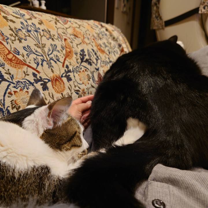 9048e2b0 6e7d 466c 8b34 9a7db4921b4b 1775260544108