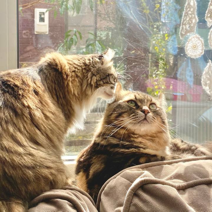 9048e592 5a04 457c 960a 3b43ebafb299 1669388111200