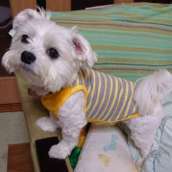 9048f0cf 0418 498f 9e31 29be67e67681 1566976361459