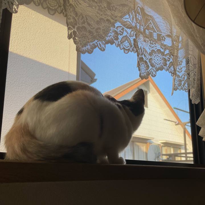 9048ff1b b69d 4677 a1d2 e86dc217c214 1664849854191