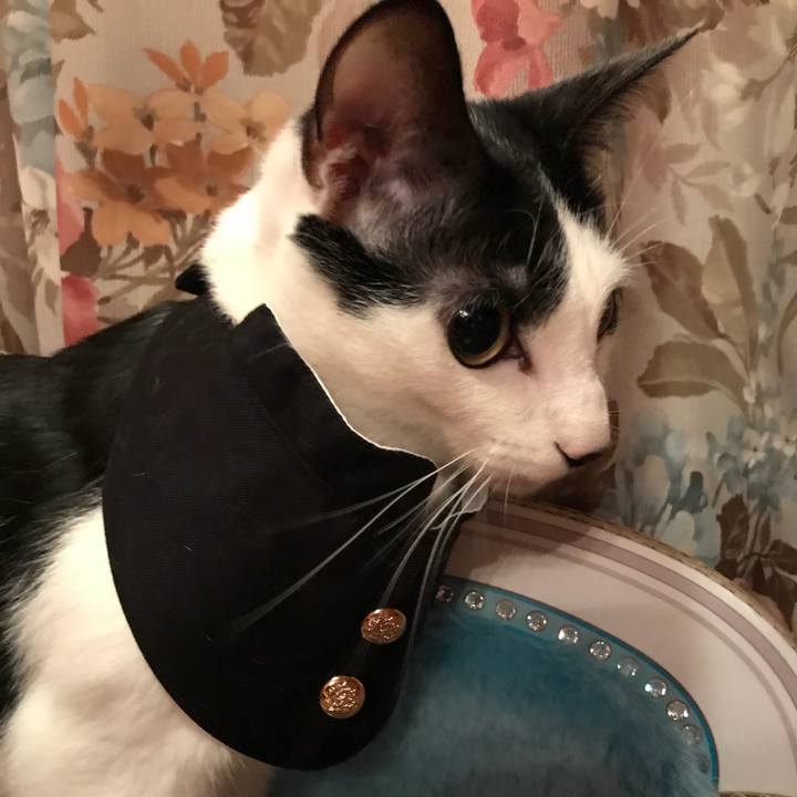 90490e3d 7674 4772 81f9 31a750ca78cf 1526006027029