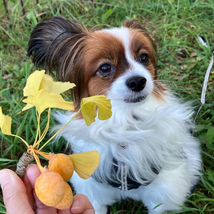 904933a6 83de 4fb0 b093 4f13ff5b35be 1729060153934