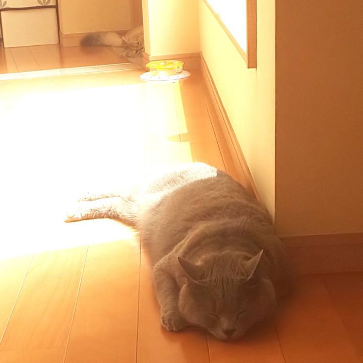 90498de6 948a 44e8 9b6a b5c6aaa00e13 1559009045588