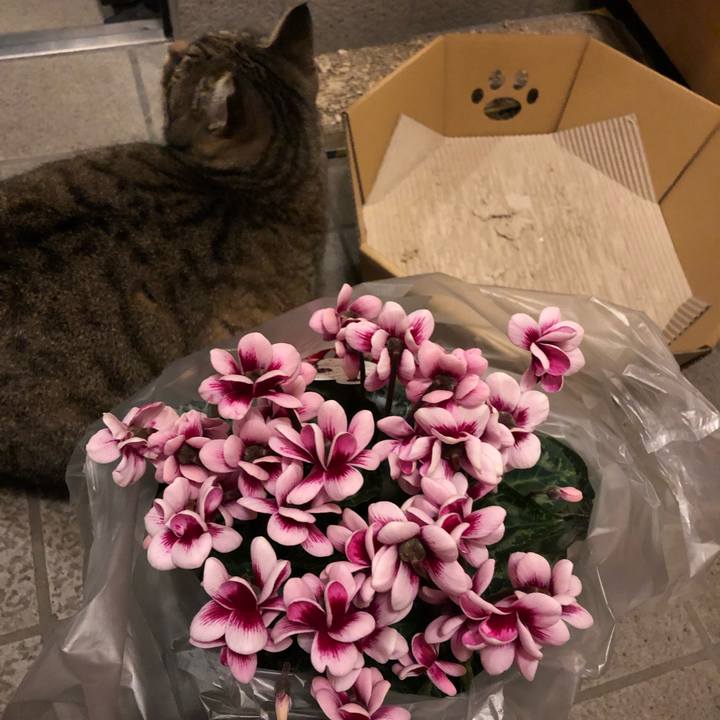 904997e9 4961 4227 ad73 5bd0b3c33a49 1545567314065